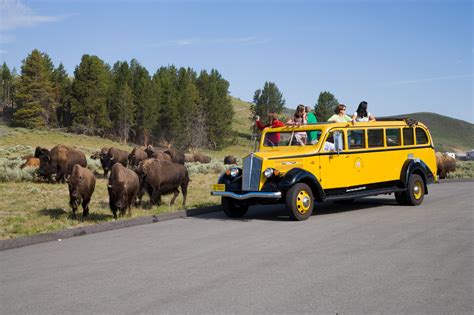 caravan yellowstone|Tour Little Bighorn: Part of Caravan’s Yellowstone and Mount。